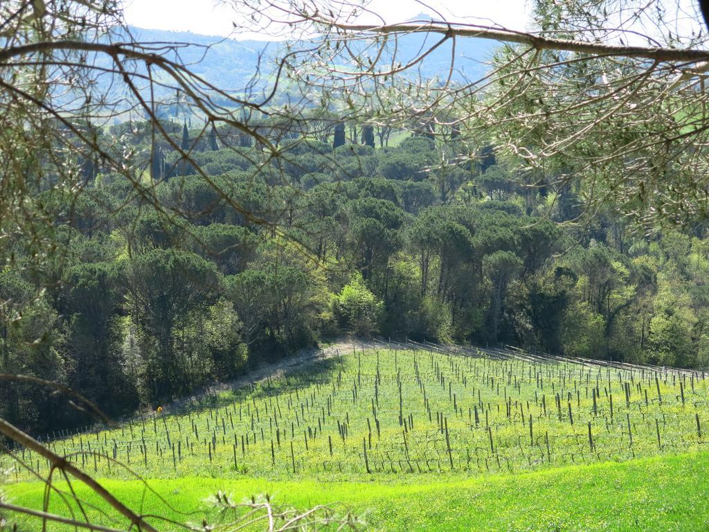 Agriturismo Il Palagetto Pomarance Luaran gambar