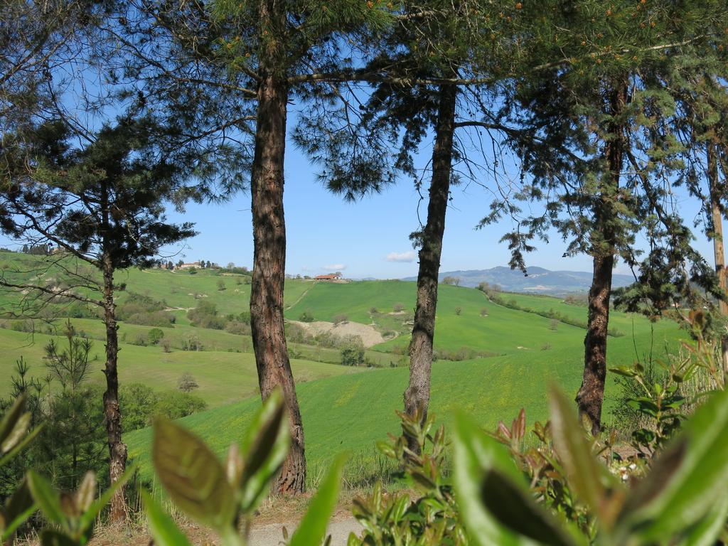 Agriturismo Il Palagetto Pomarance Luaran gambar