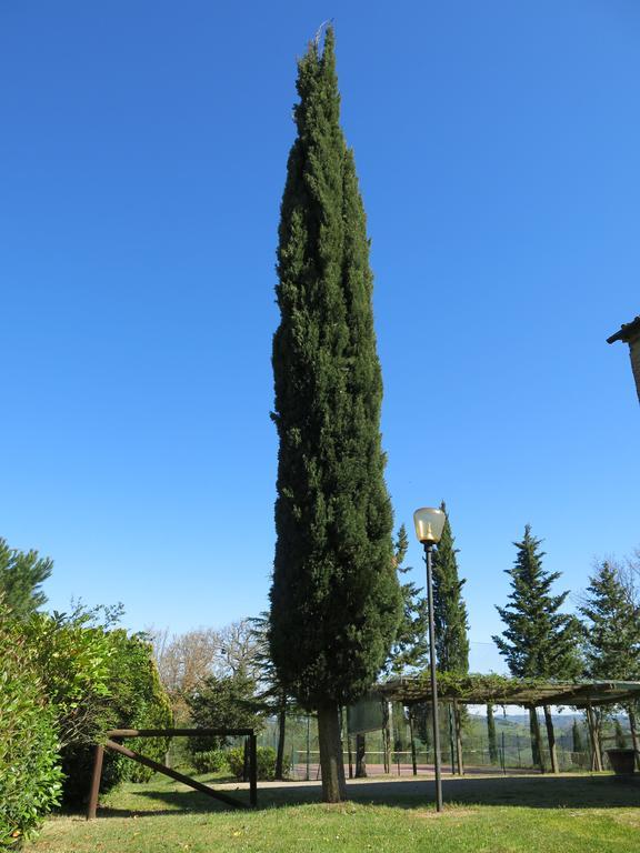 Agriturismo Il Palagetto Pomarance Luaran gambar
