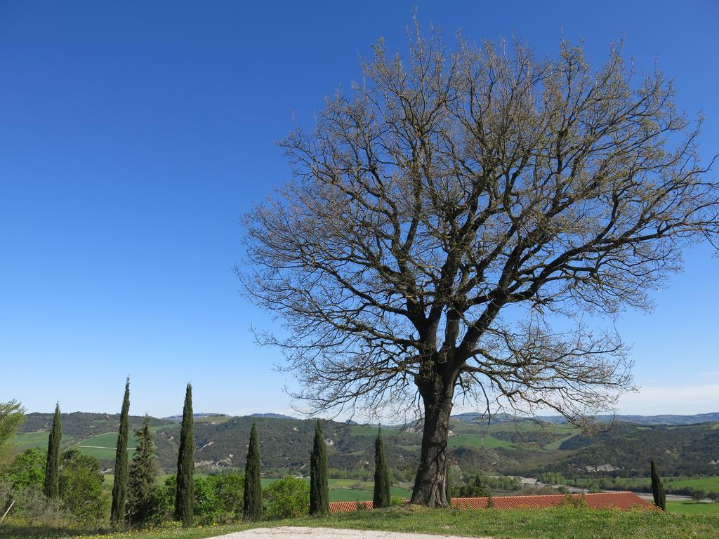 Agriturismo Il Palagetto Pomarance Luaran gambar